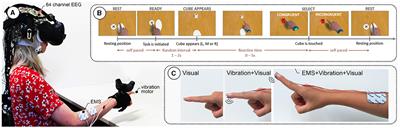 Visuo-haptic prediction errors: a multimodal dataset (EEG, motion) in BIDS format indexing mismatches in haptic interaction